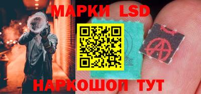 шишки Камышлов