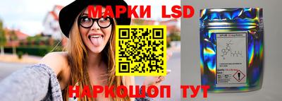 гашик Кандалакша
