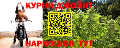 шишки Камышлов