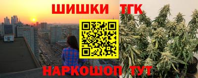шишки Камышлов