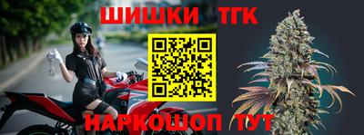 гашик Кандалакша
