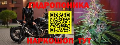 ALPHA PVP Канаш
