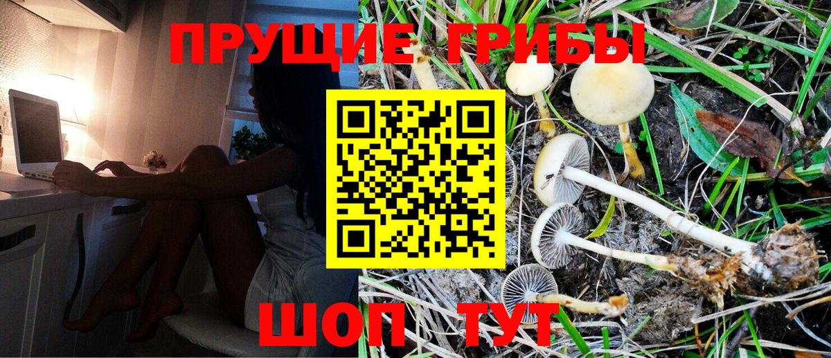 Красноярск  Галлюциногенные грибы Psilocybine cubensis  Псилоцибиновые грибы мицелий  Вход с VPN 